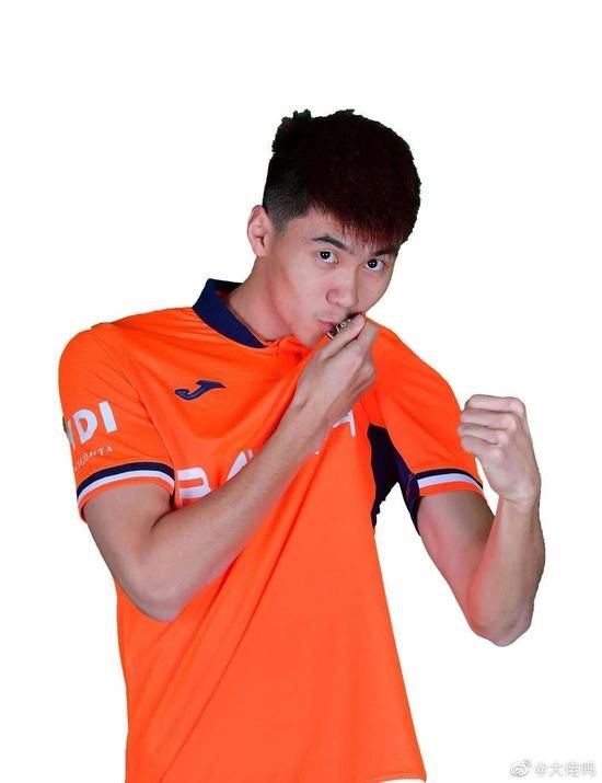 电网设备板块