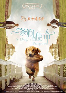 欧美激情亚洲