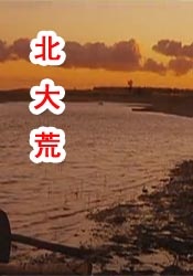 欧美另类高清视频在线