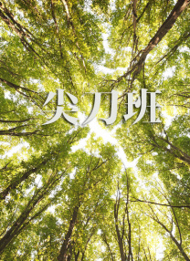 精品欧美一区视频在线观看