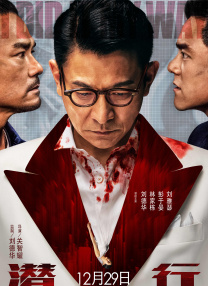 久久久久免费观看