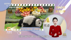 四虎8848精品成人免费网站